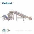 Industrial vegetable Processing line for Salad